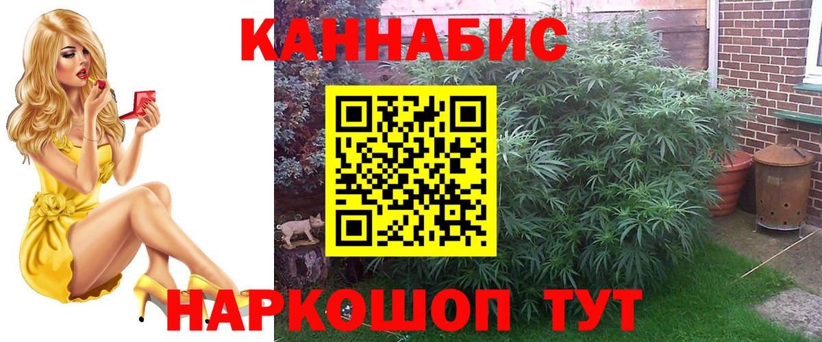 Шишки марихуана THC 21% Ноябрьск